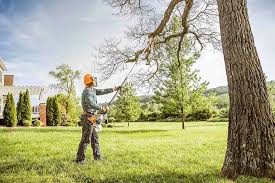 Professional Tree Care in Goulding, FL